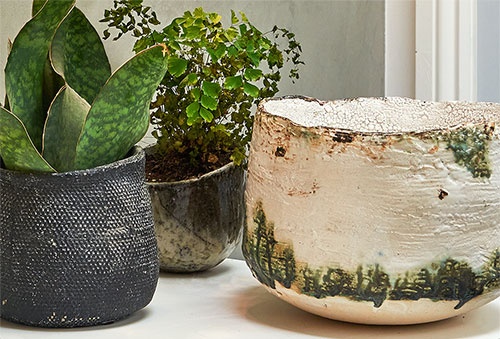 Thea Thompson Pot 18
