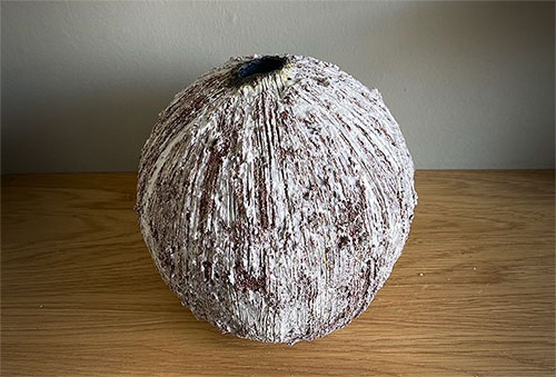 Thea Thompson Pot n29