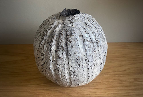 Thea Thompson Pot n43