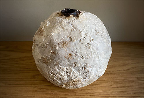 Thea Thompson Pot n50